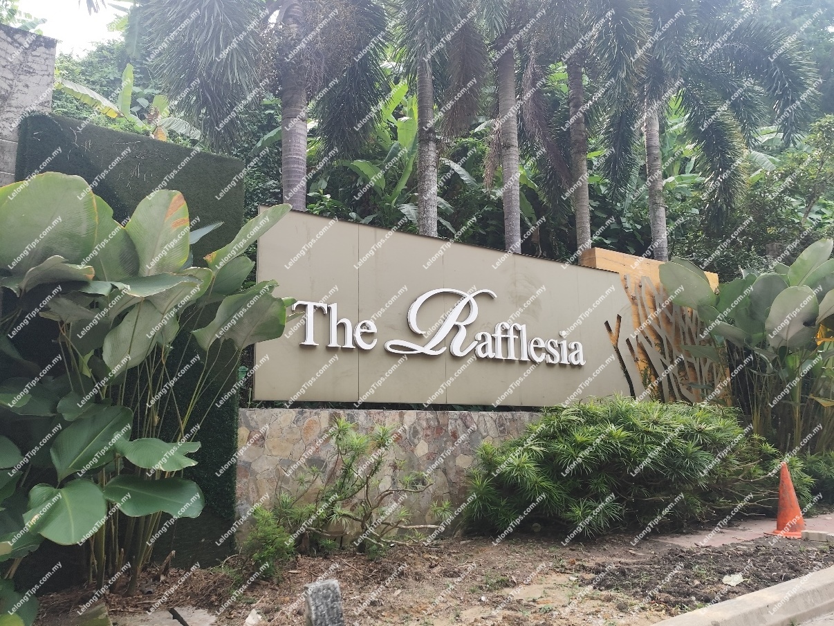 3 Storey Semi Detached House