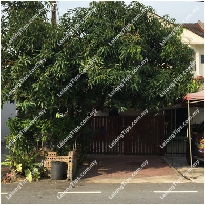 2 Storey Terrace House