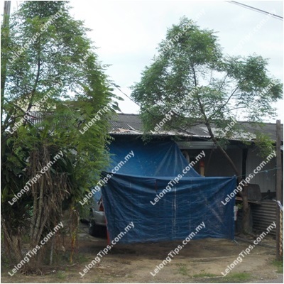 1 Storey Terrace House