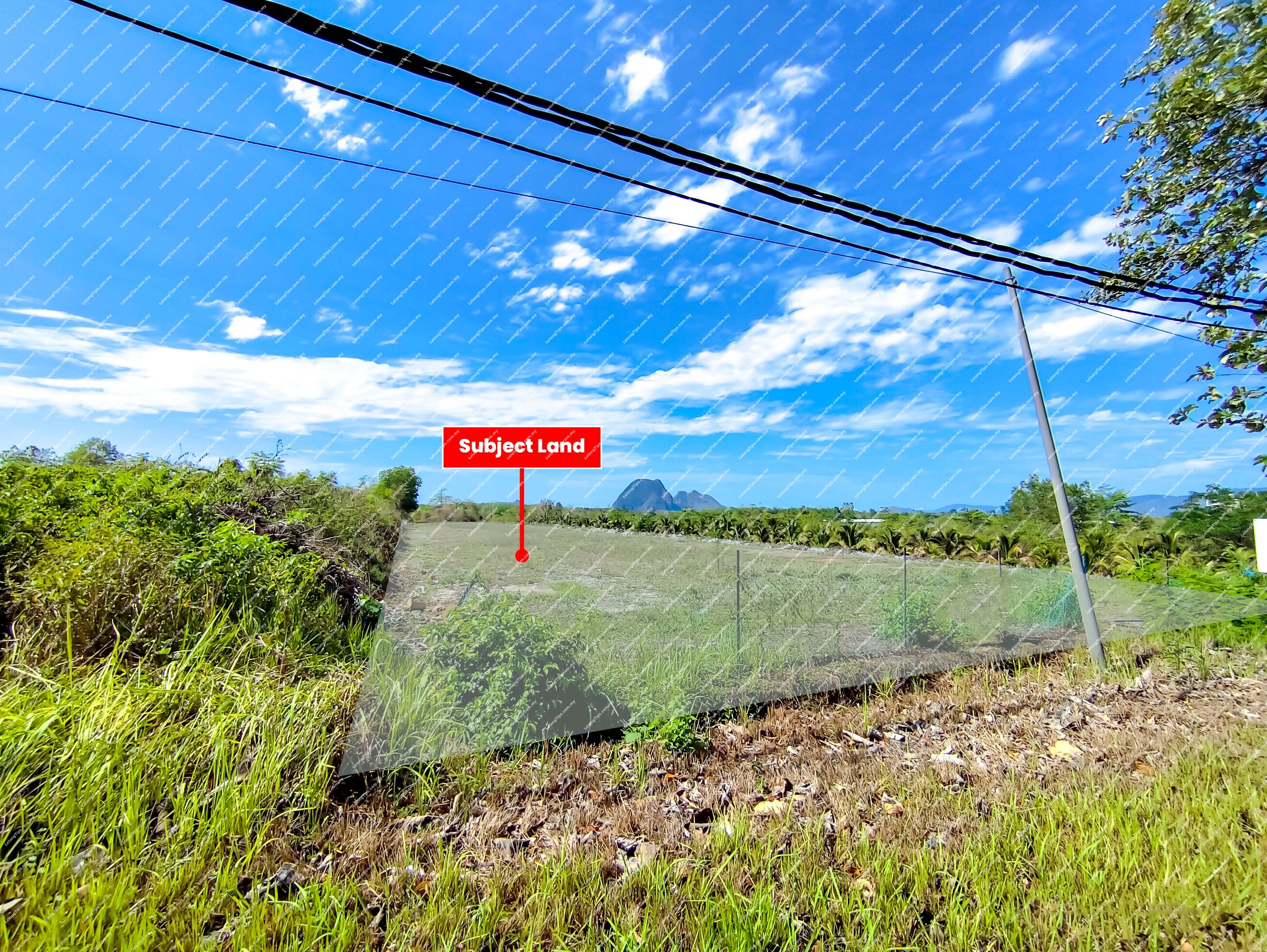 [Vacant Flat Land; Ideal for Development] Agricultural Land [3 mins to UniMAP Campus, 10 mins to Padang Besar Immigration & Customs (Malaysia–Thailand border hub)]