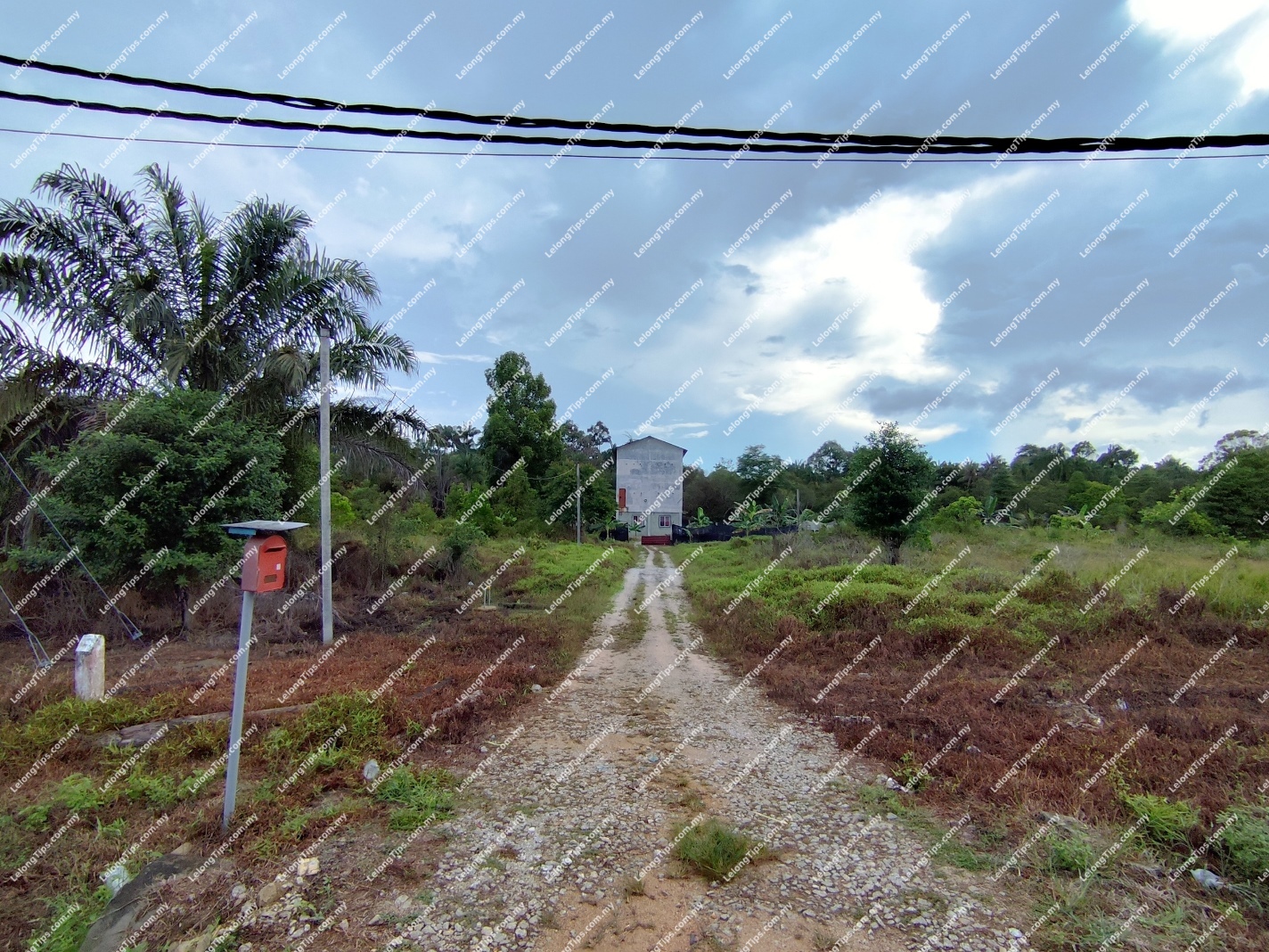 Vacant Land
