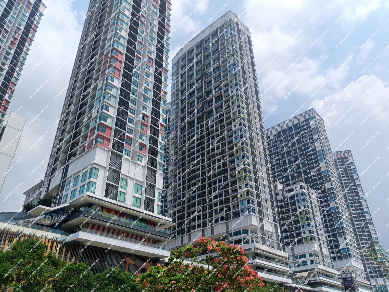SOHO (Duplex Unit)