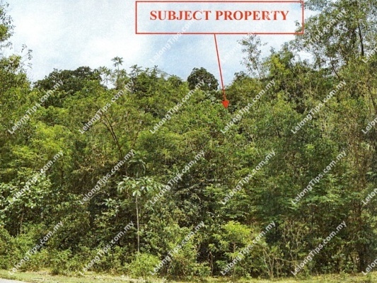 Residential Land