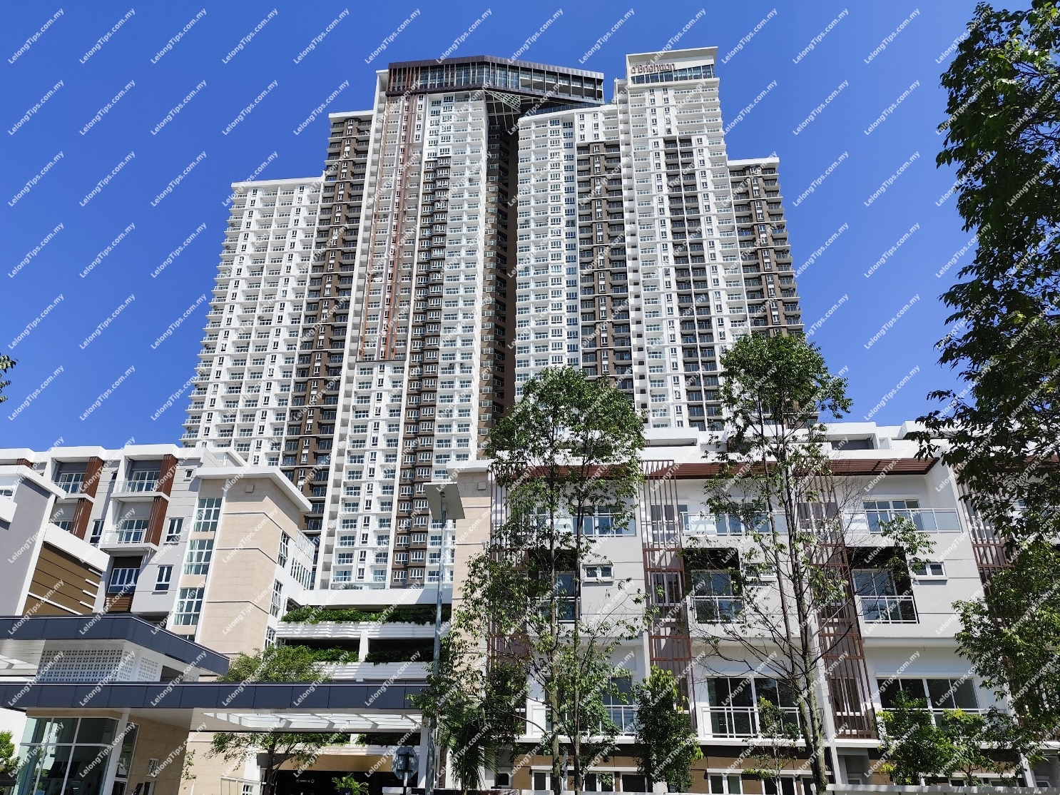 Condominium