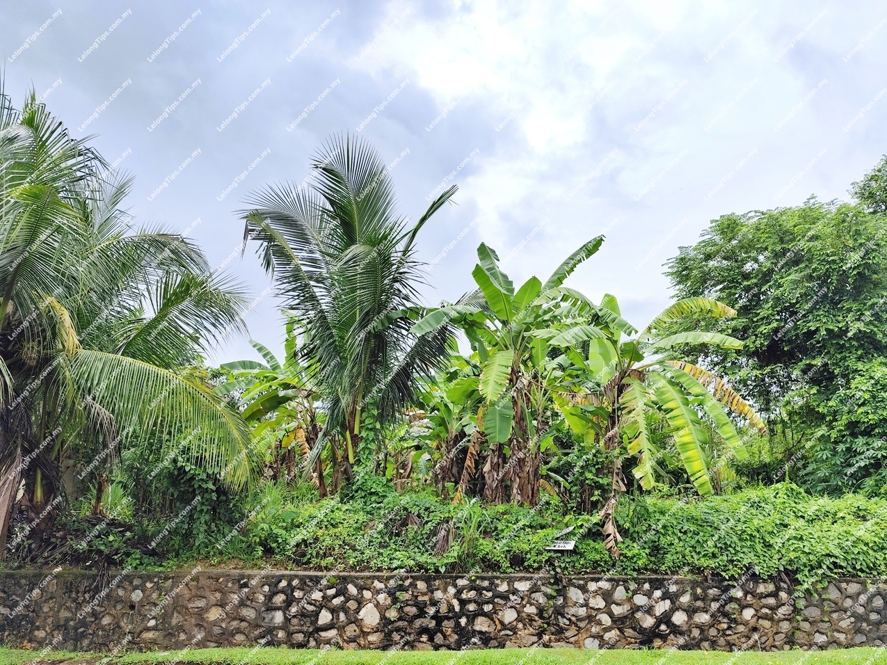 Vacant Land