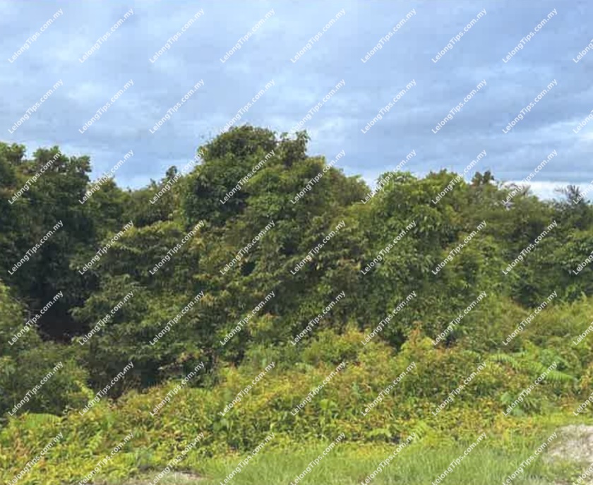 Agricultural Land