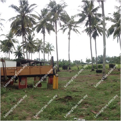 Vacant Agricultural Land