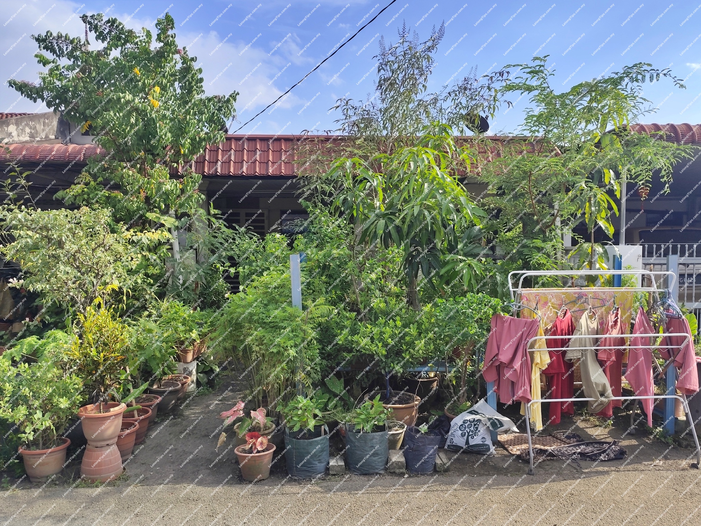 1 Storey Terrace House
