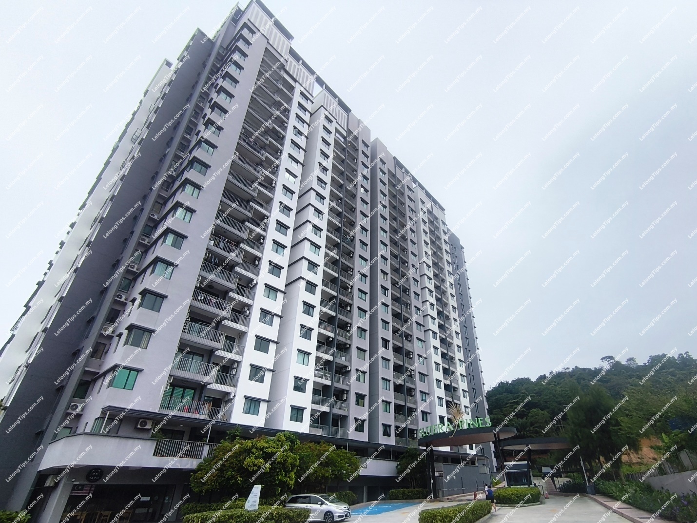 Condominium