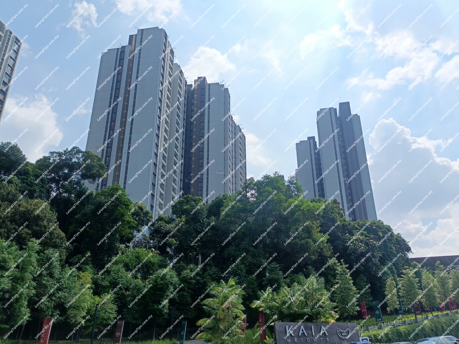 Condominium