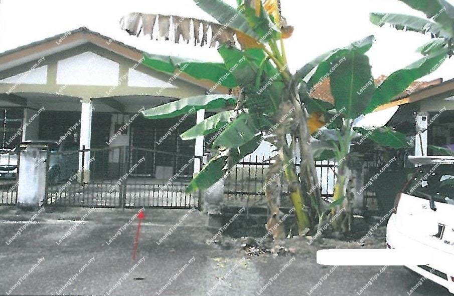 1 Storey Terrace House