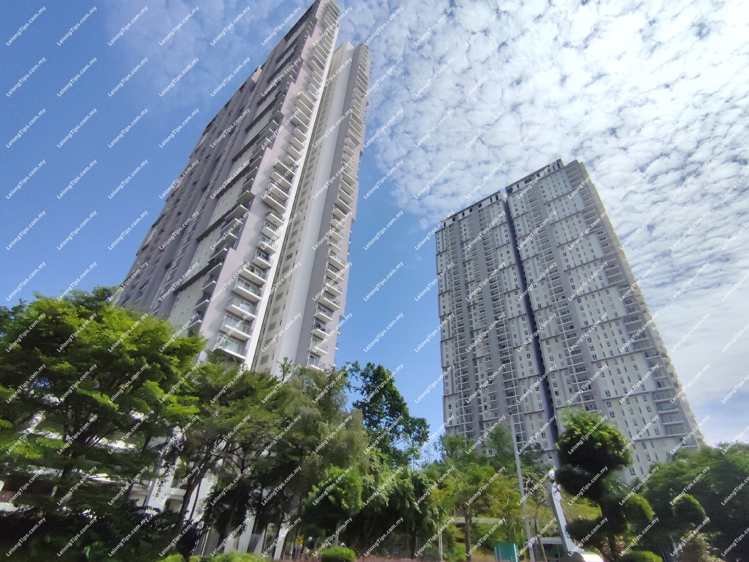 Condominium
