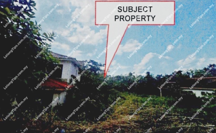 Vacant Land