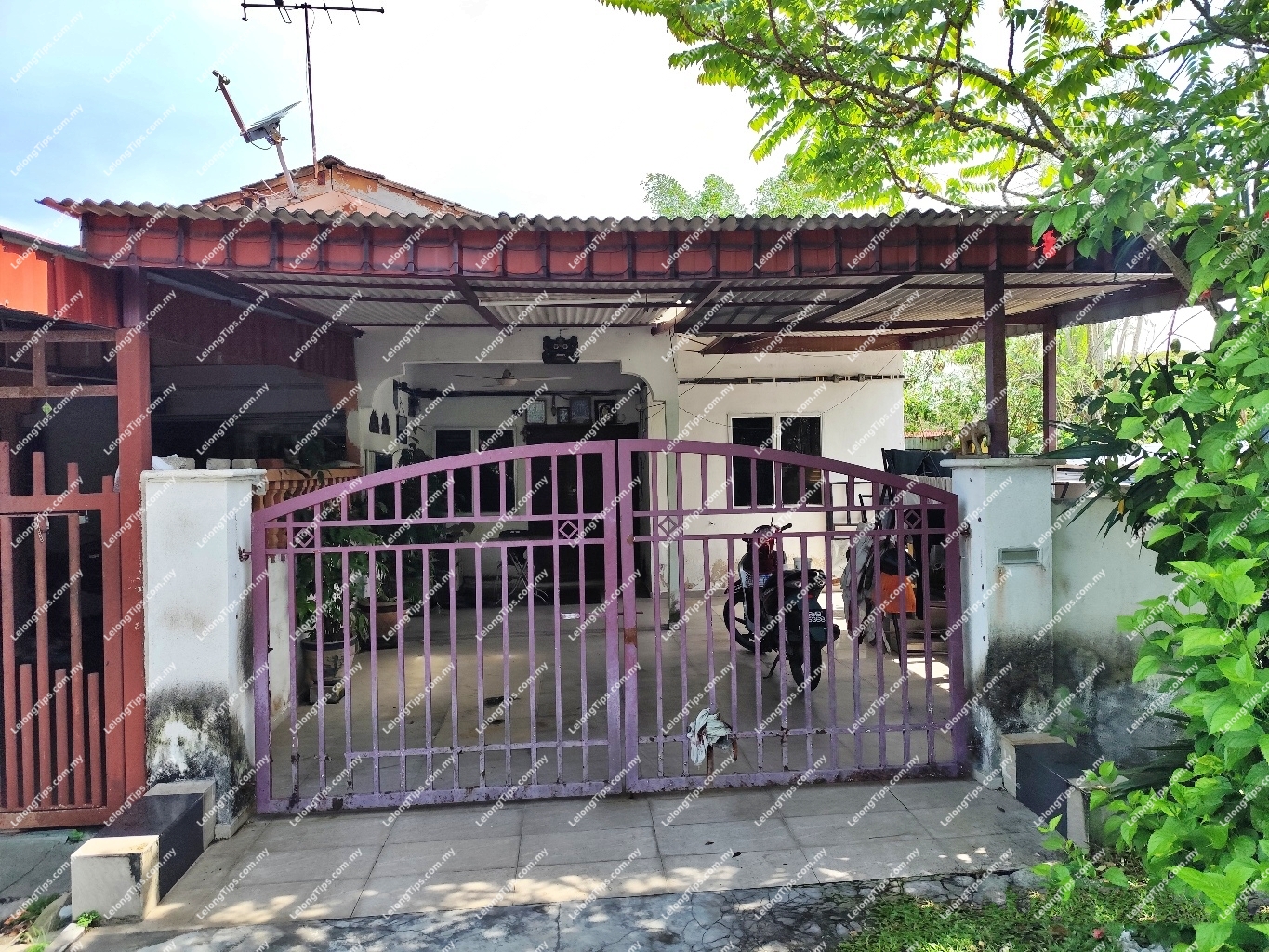 1 Storey Terrace House