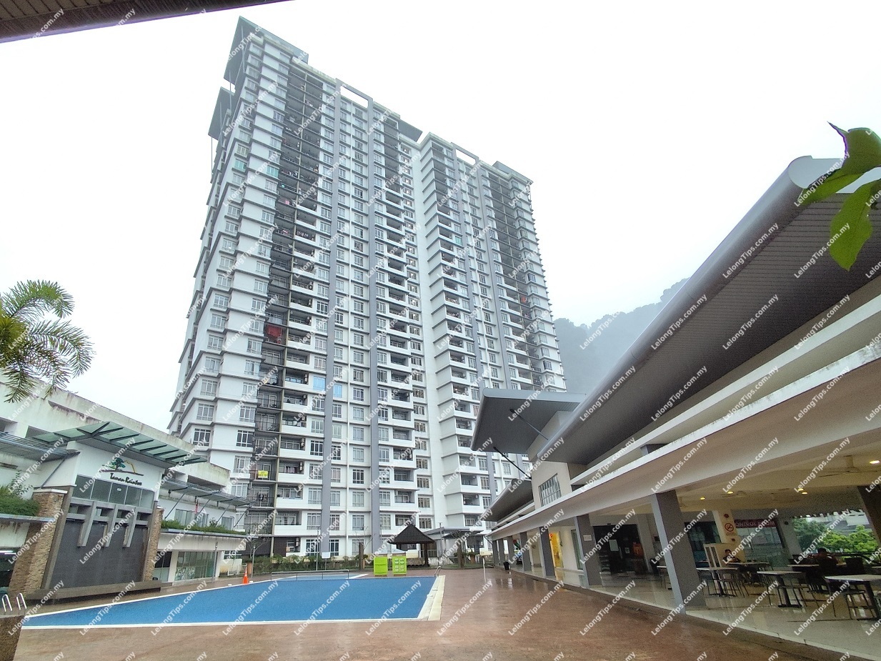 Condominium