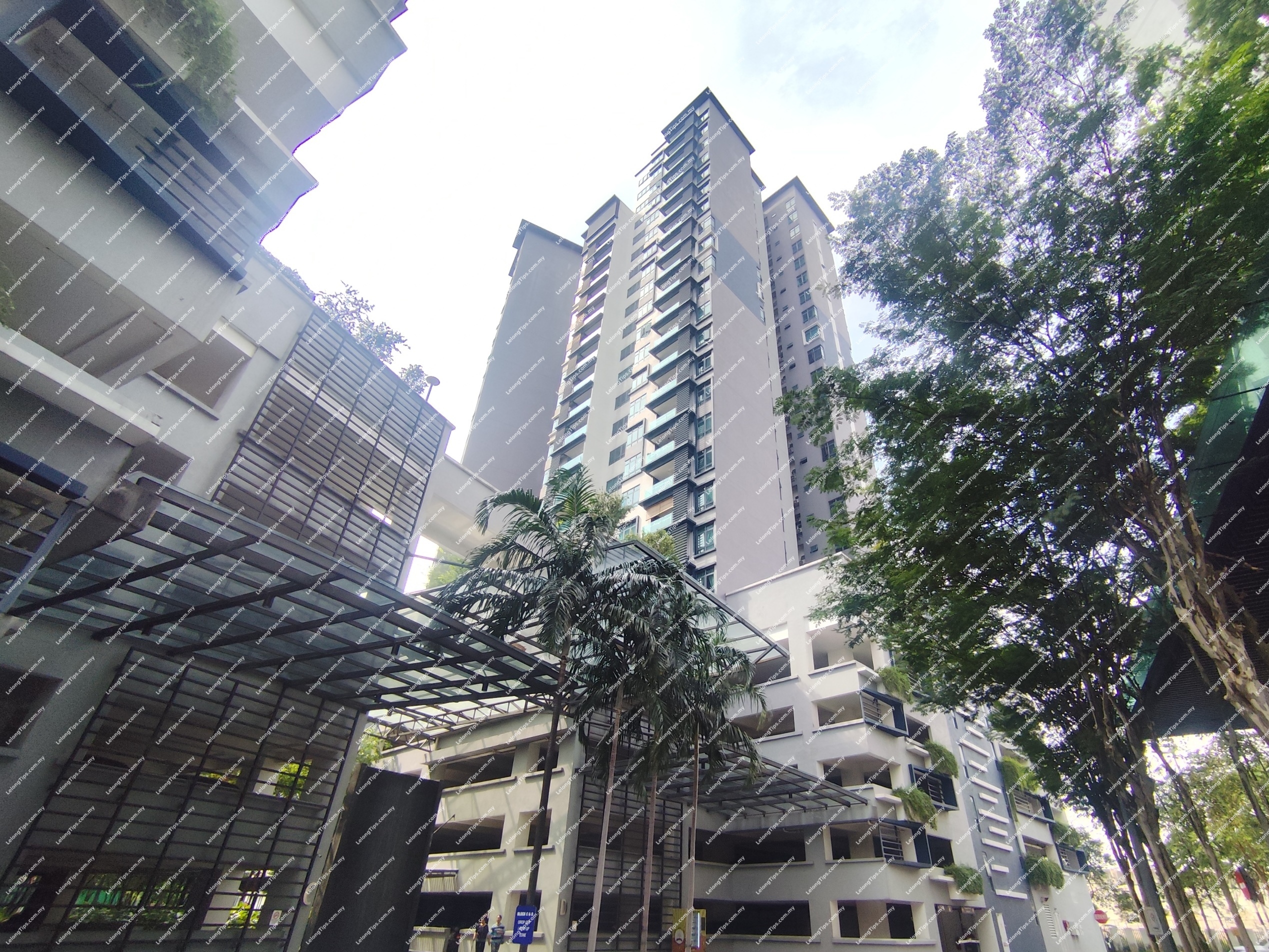 Condominium