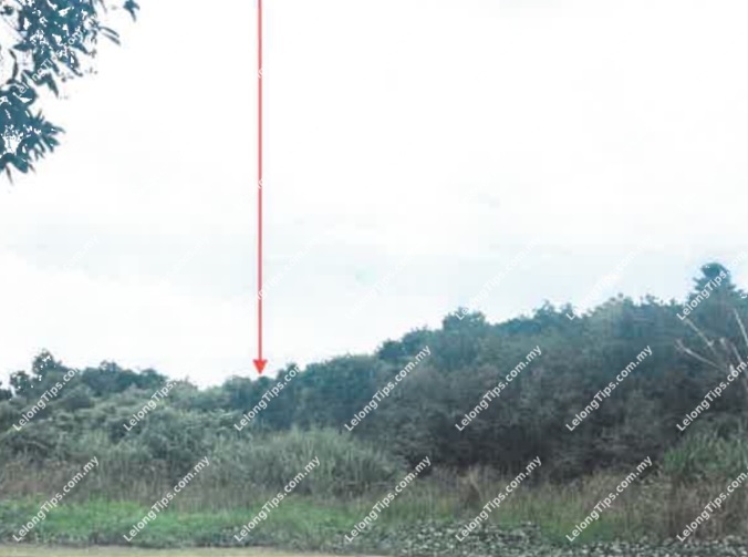 Agricultural Land