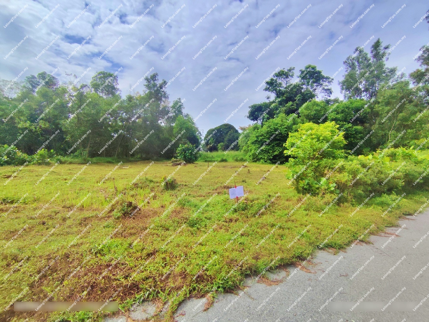 Vacant Plot of Detached Housing Lot