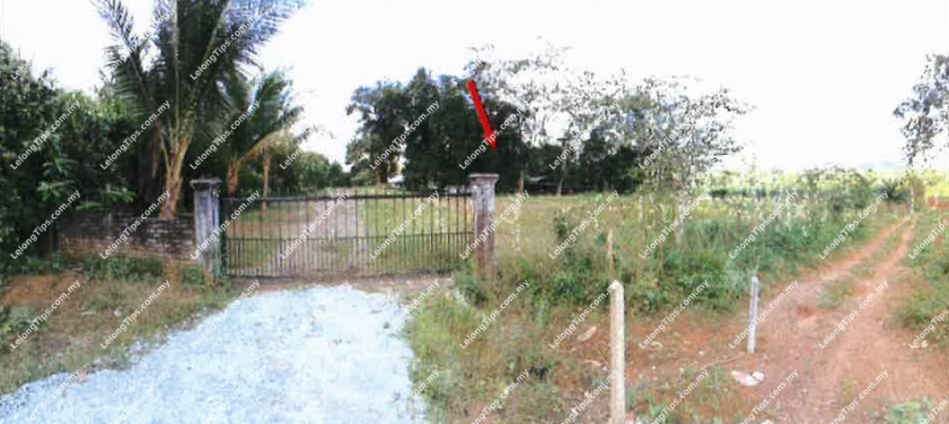 Agricultural Land