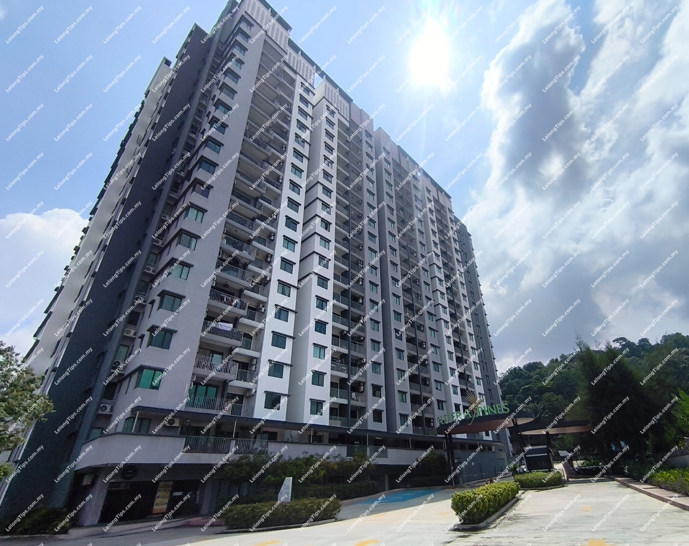 Condominium