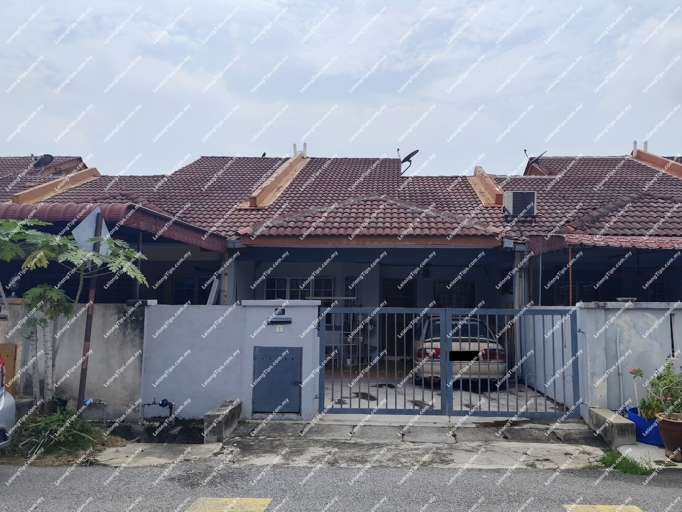 1 Storey Terrace House