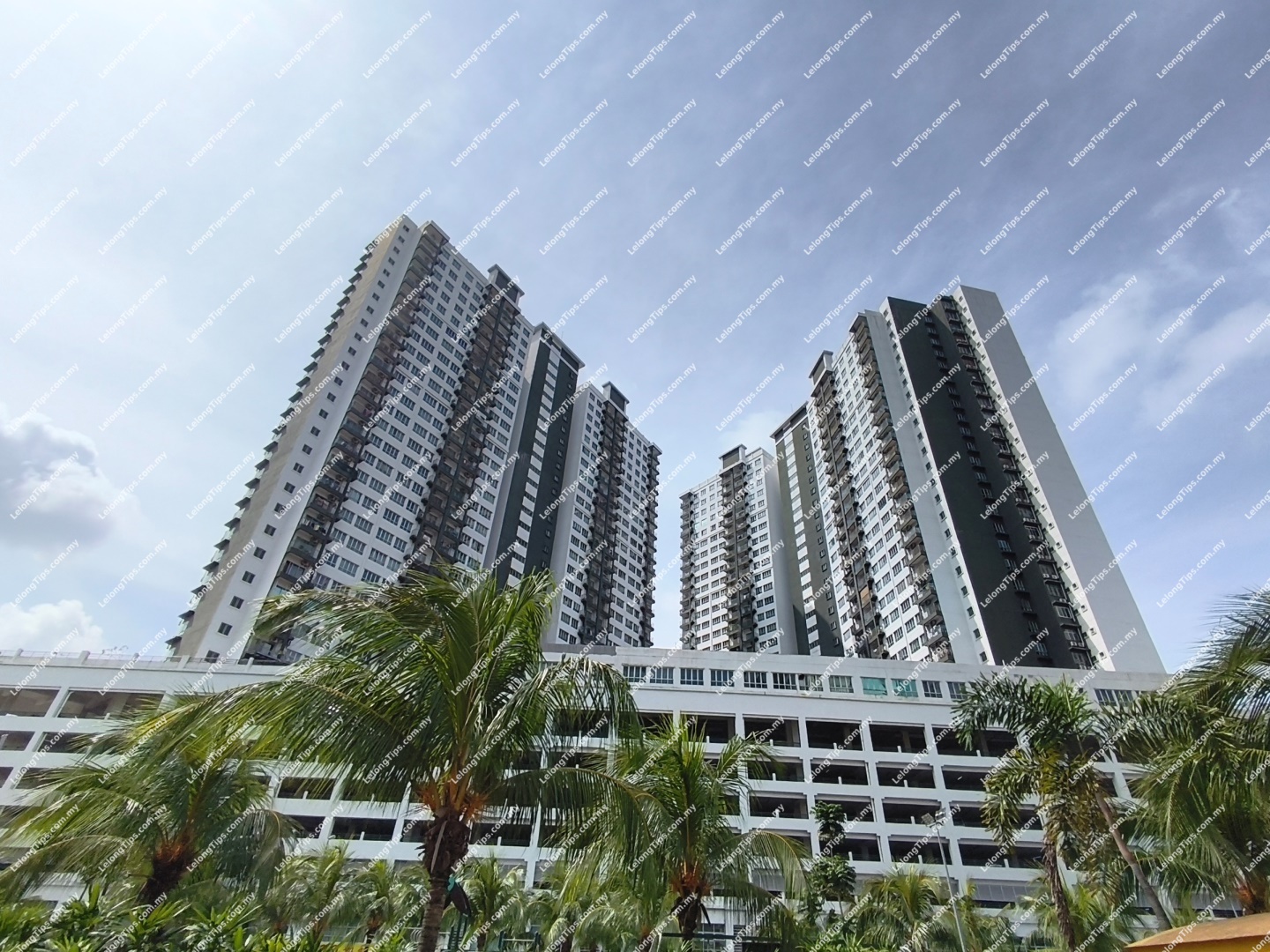 Serviced Apartment