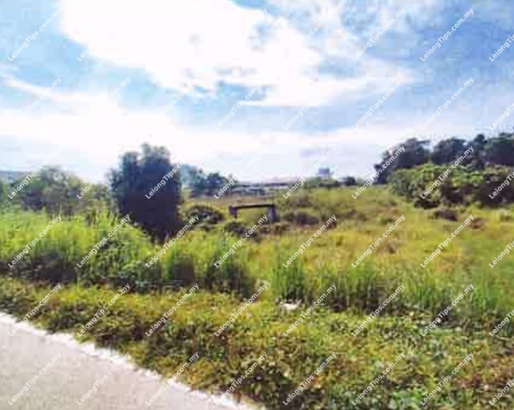Residential Land