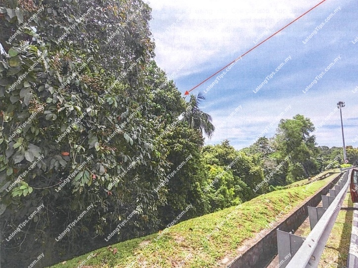 Commercial Land