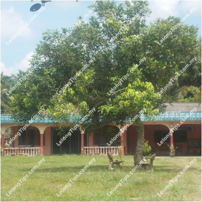 Agriculture Land Constructed With A Single Storey Detached House