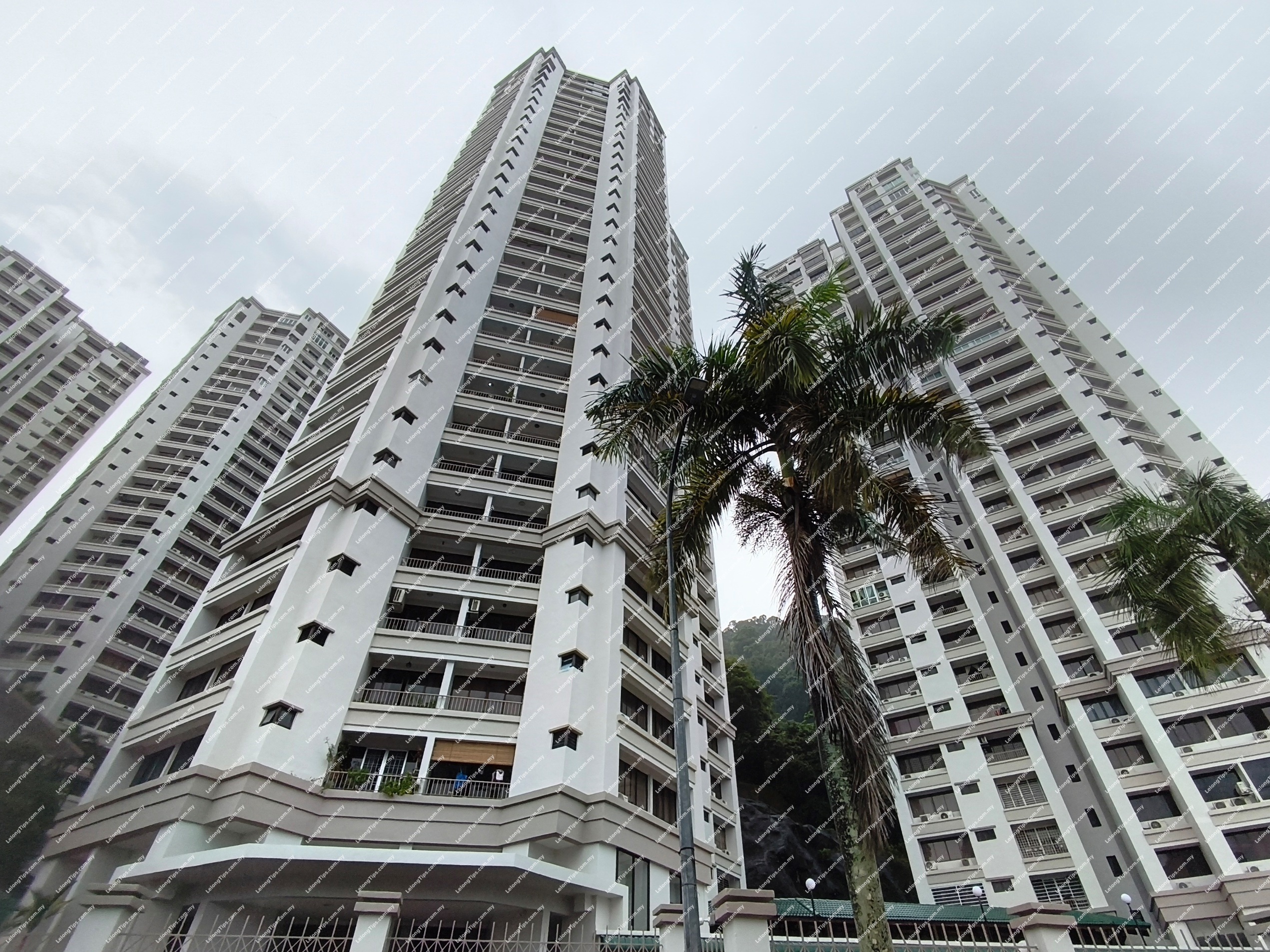 Condominium
