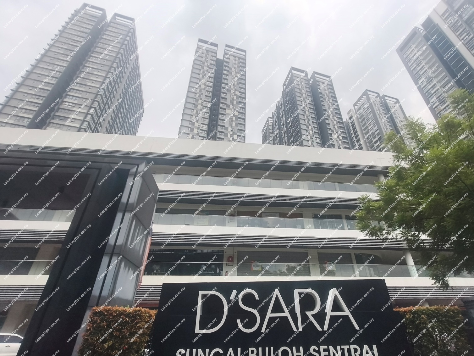 Service Apartment