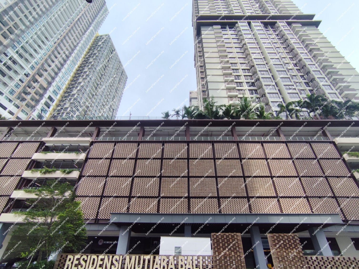 Duplex Service Apartment