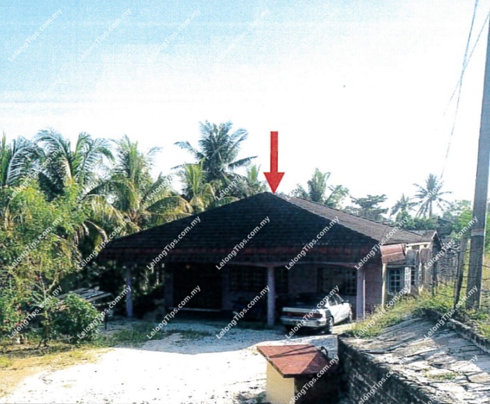 1 Storey Detached House
