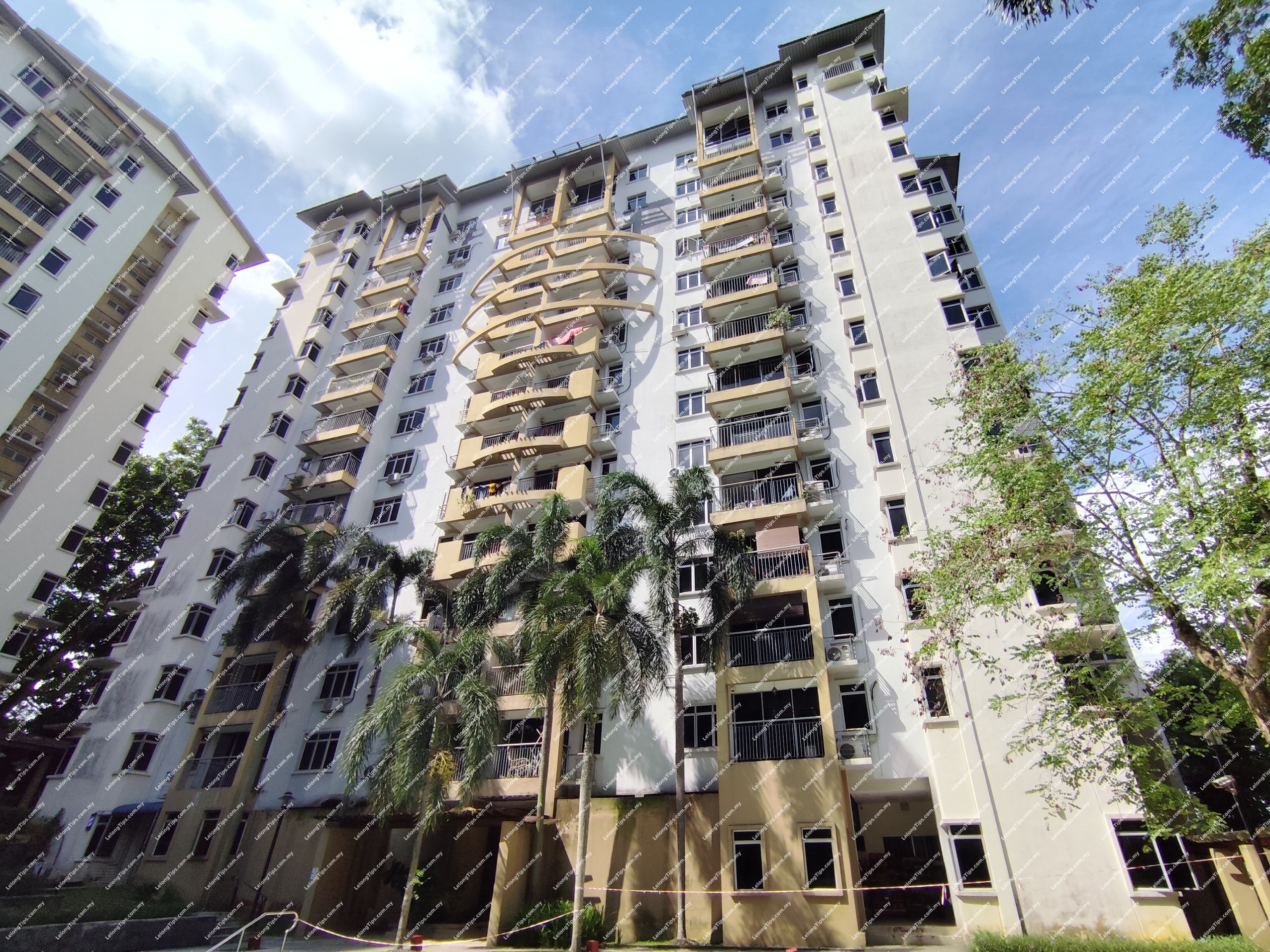 Condominium (Penthouse)