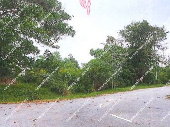 Vacant Residential Detached Lot