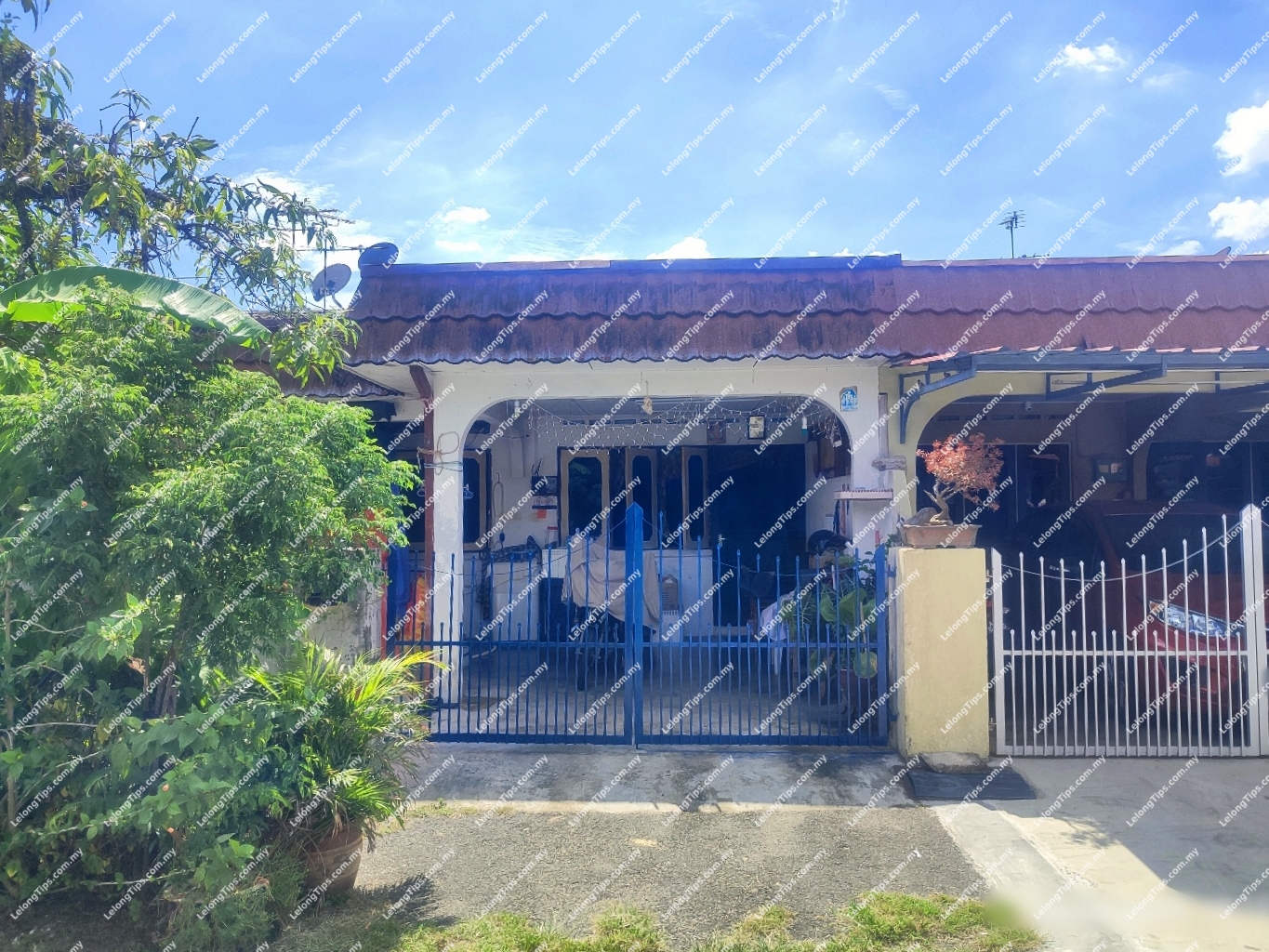 1 Storey Terrace House