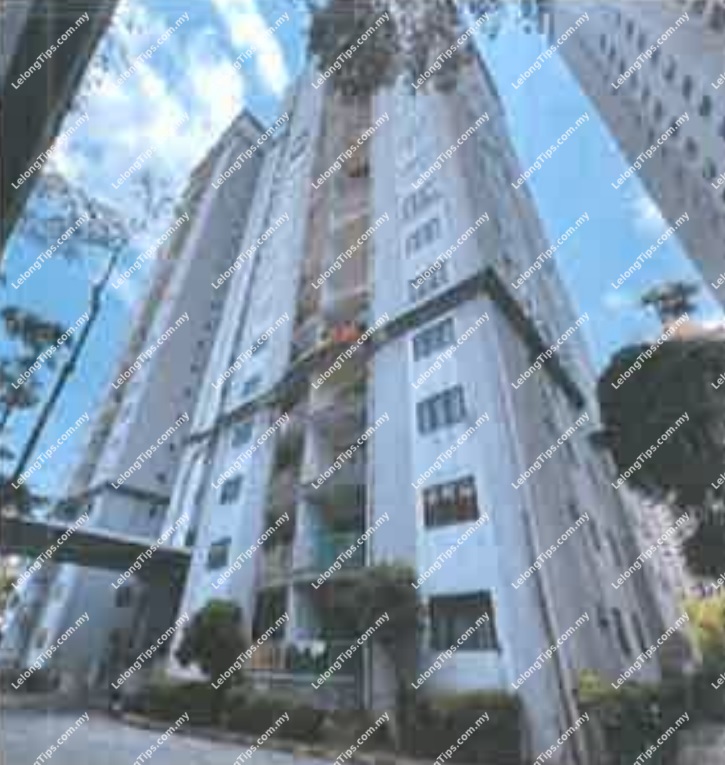 Condominium