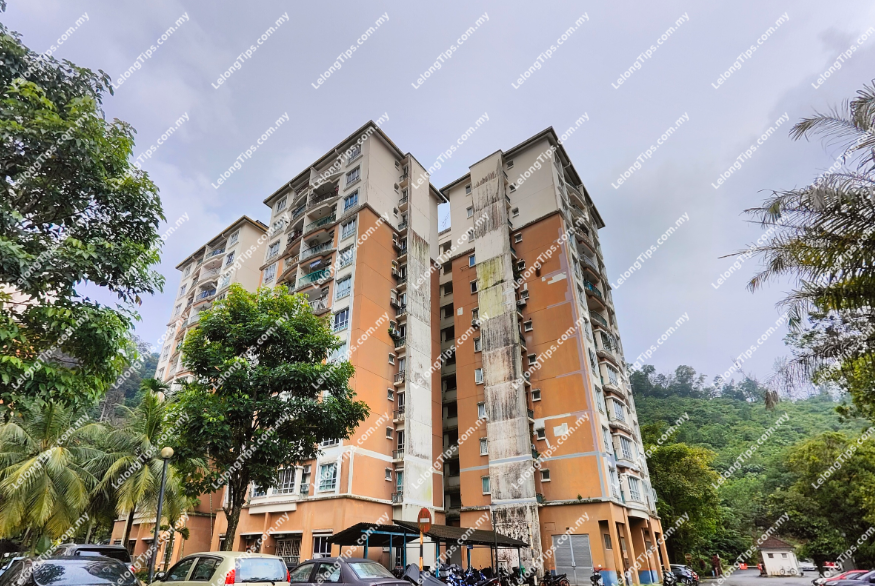 Condominium