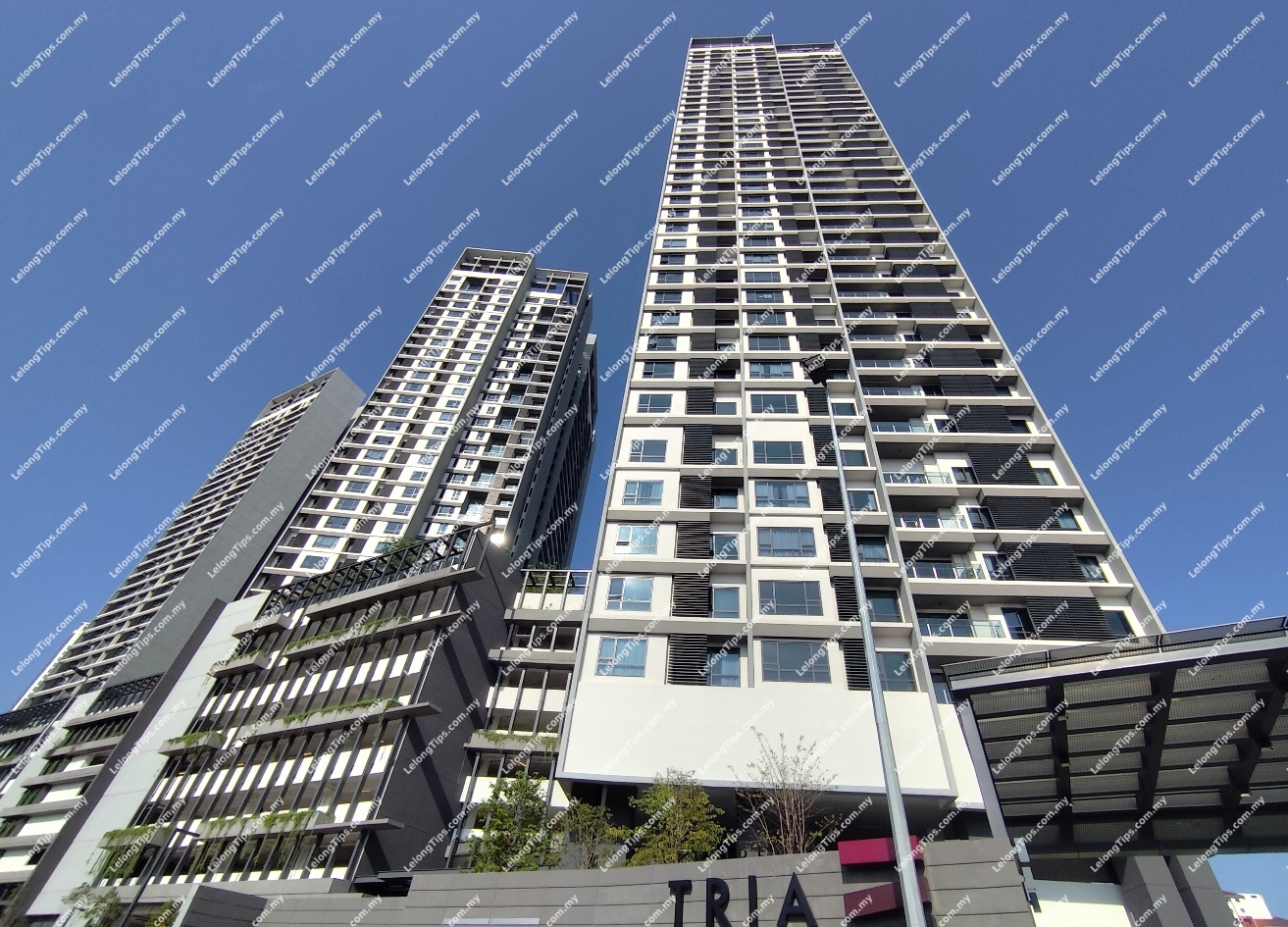 Condominium