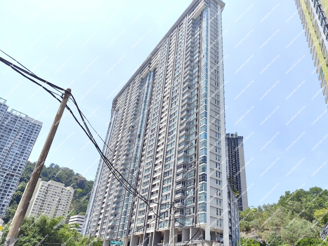 Condominium