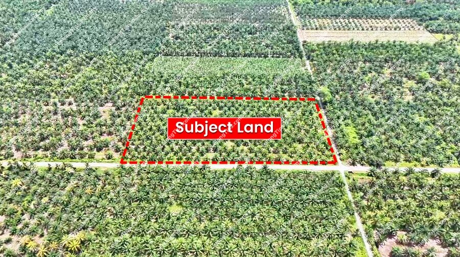 [Land with Road Access] Agricultural Land [Located along Jalan Tebuk Berihun; 10 mins to Pekan Sabak Bernam]