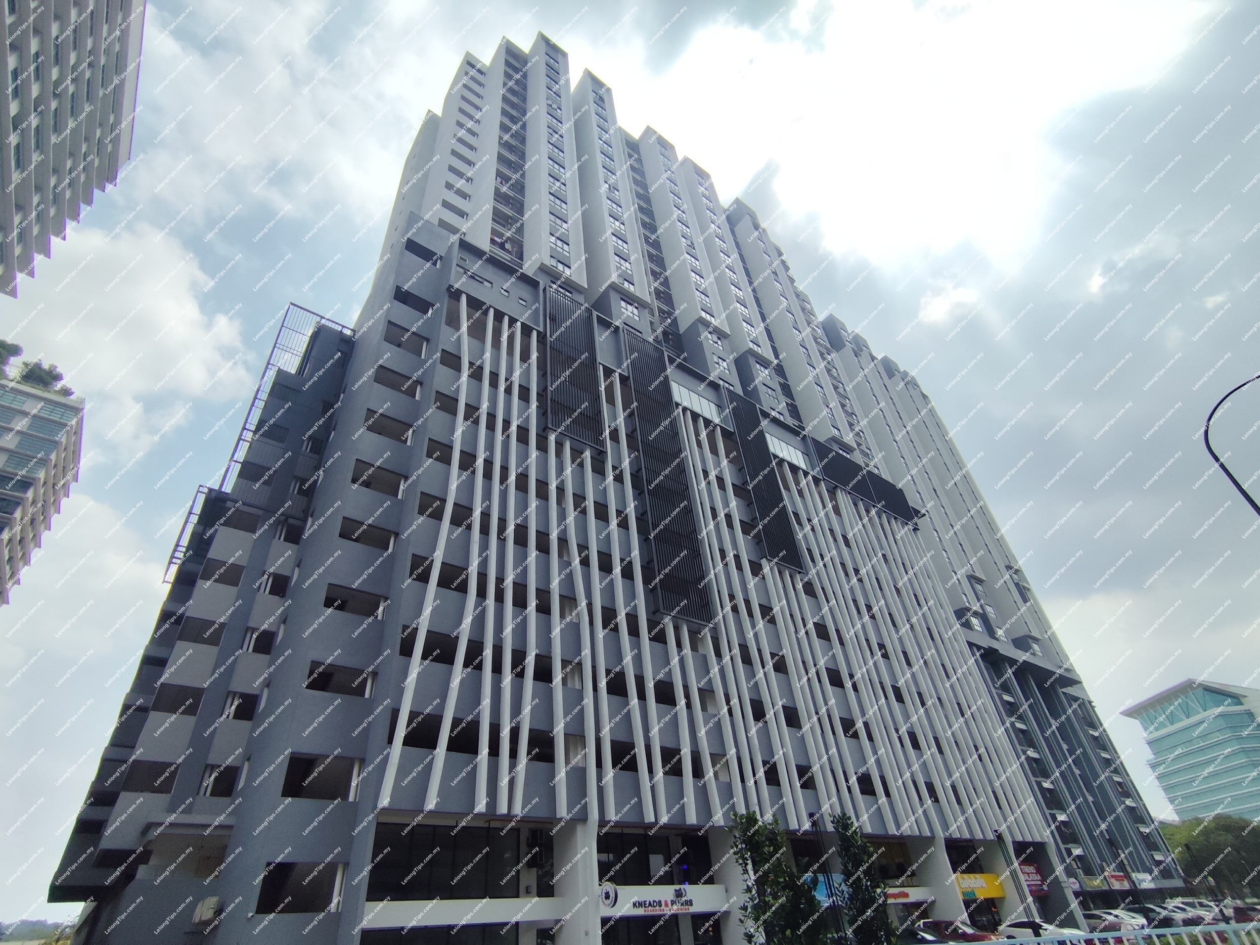 Commercial Suite
