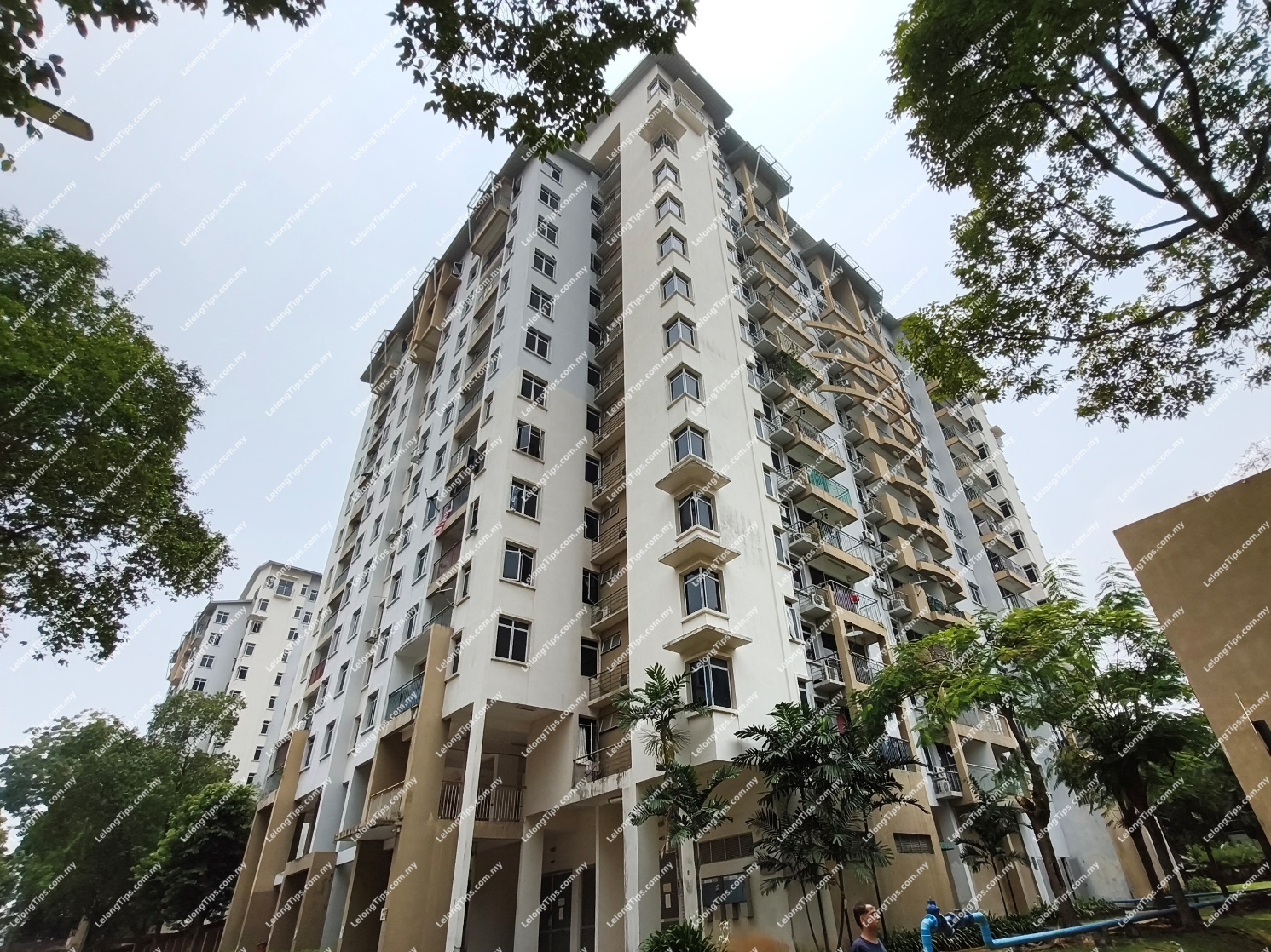 Condominium