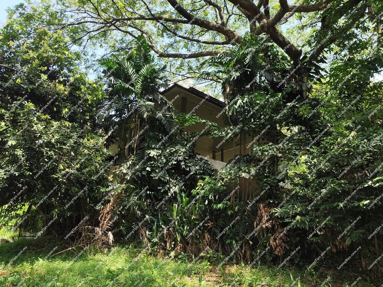2 Storey Detached House