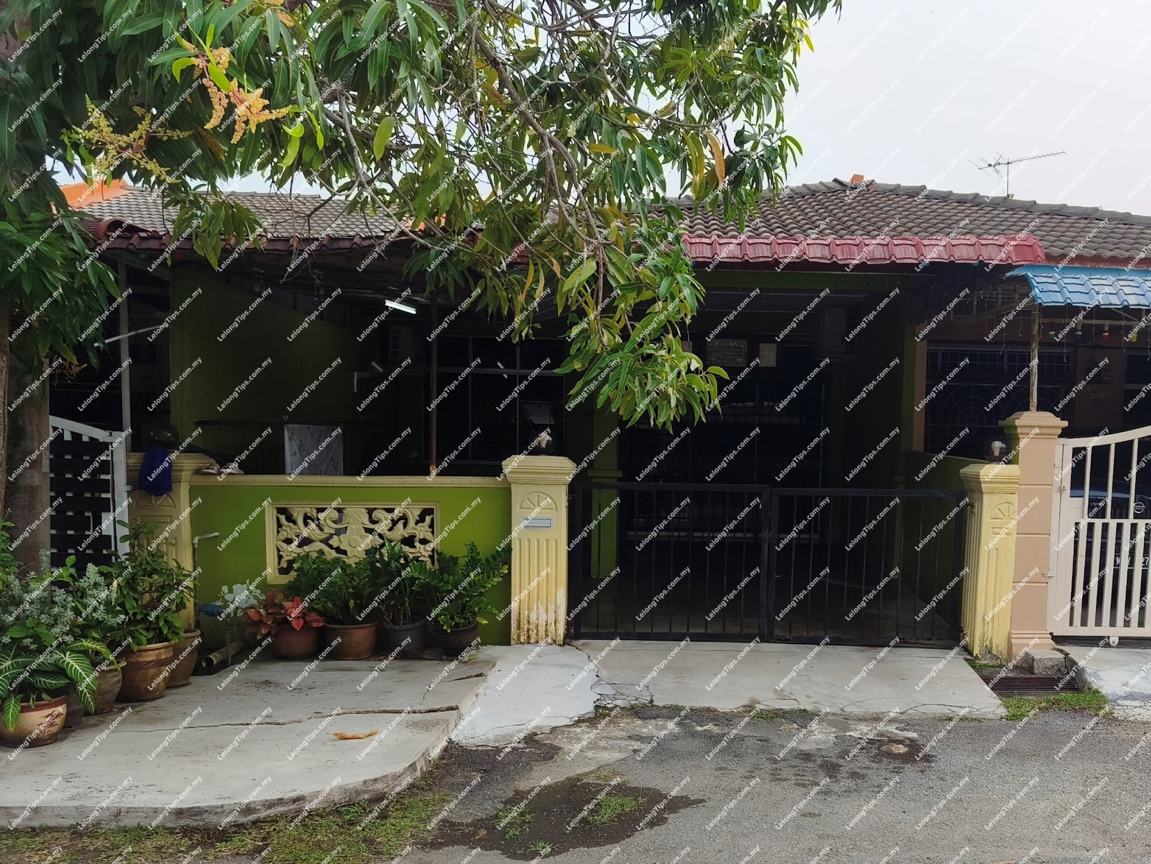 1 Storey Terrace House