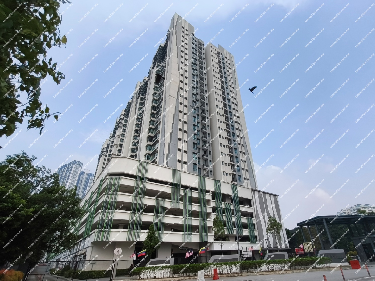 Condominium