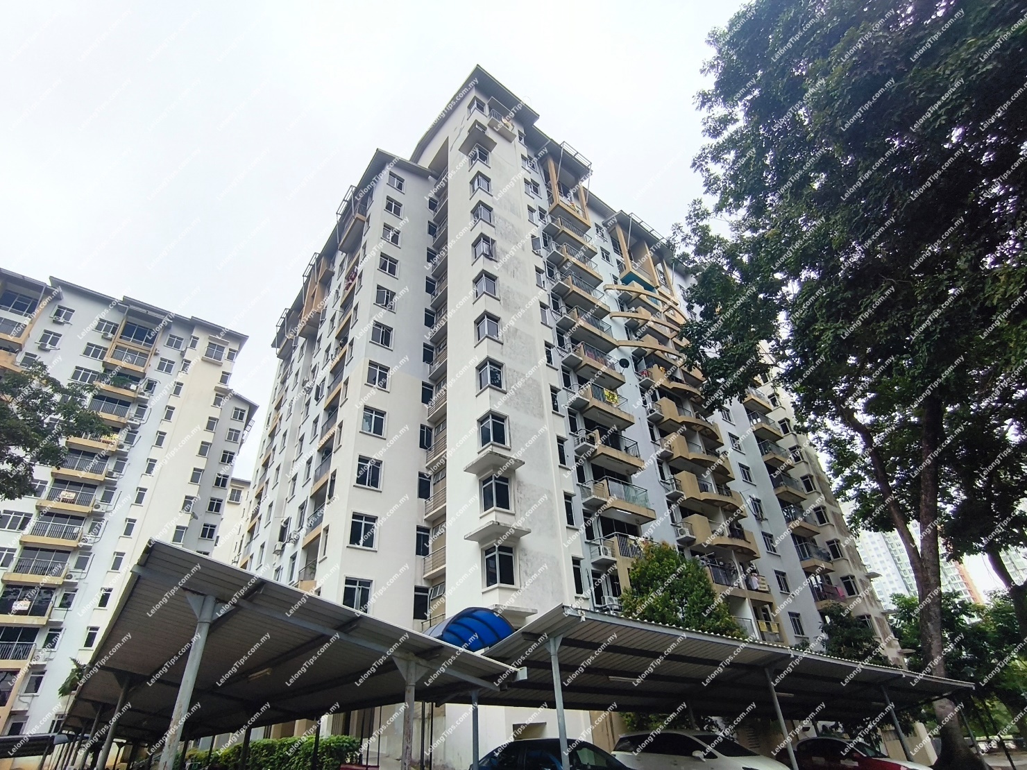 Condominium