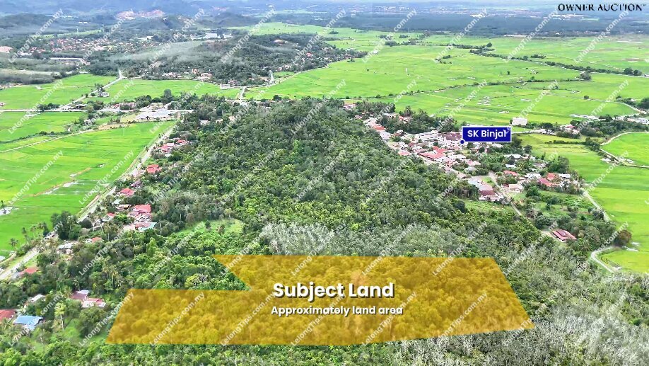 [Freehold] Agriculture Land image 3
