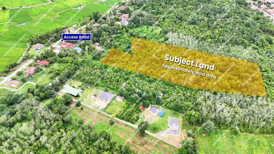 [Freehold] Agriculture Land image 4