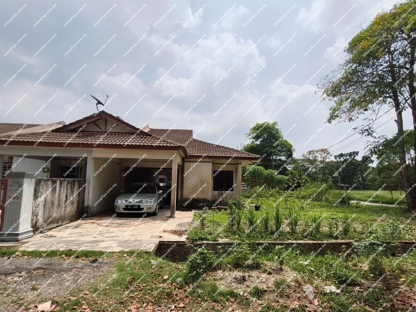 1 Storey Terrace House